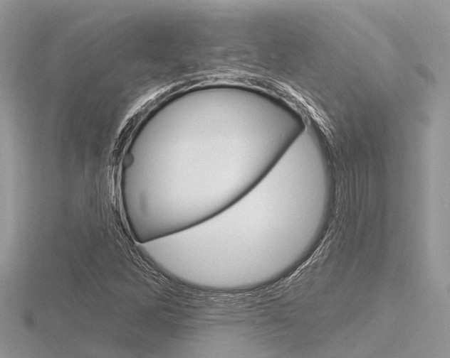 X0000116611262200912110953