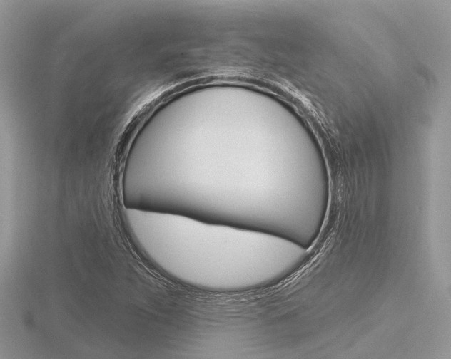 X0000116611263200912110953