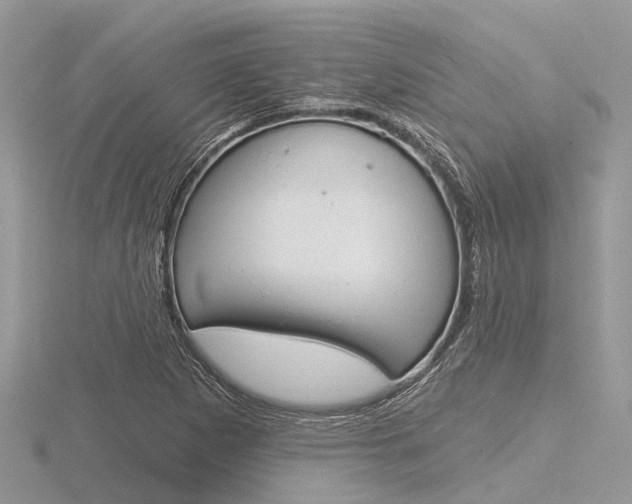 X0000116611265200912110953