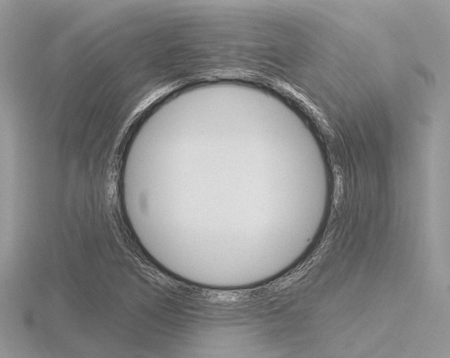 X0000116611266200912110953