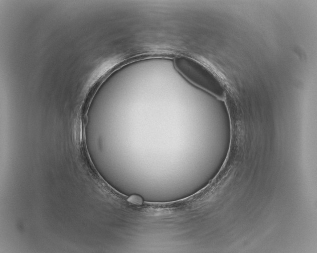 X0000116611269200912110953