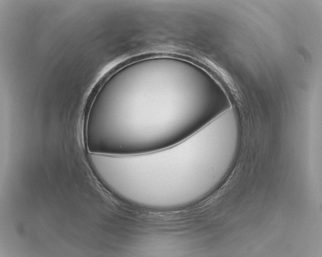 X0000116611272200912110953