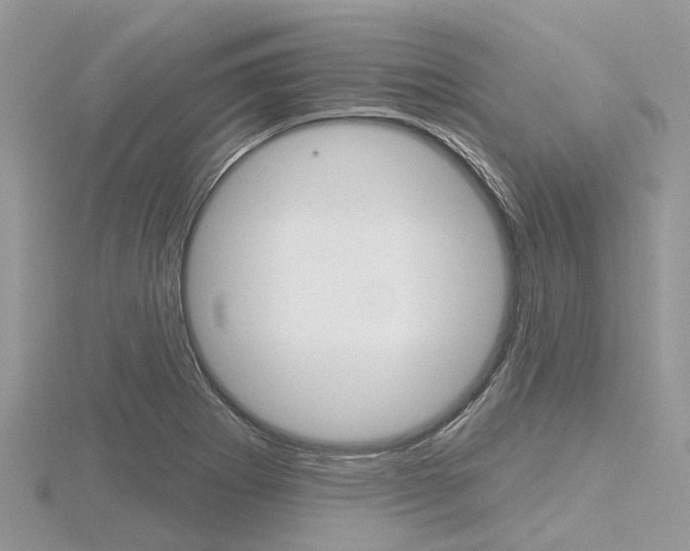 X0000116611273200912110953