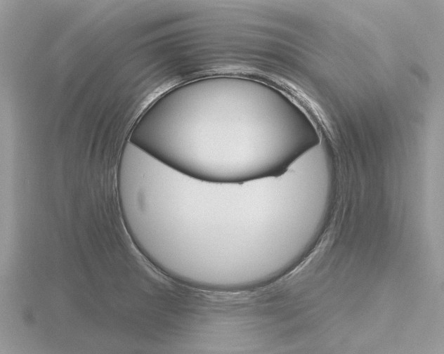 X0000116611281200912110953
