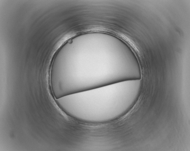 X0000116611282200912110953