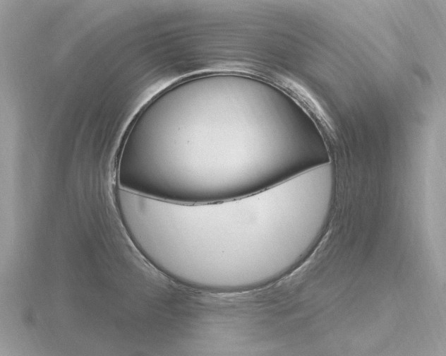 X0000116611284200912110953