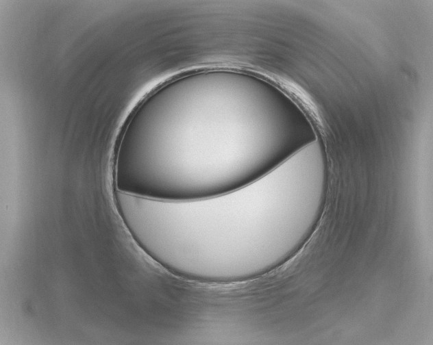 X0000116611288200912110953