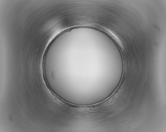 X0000116611291200912110953