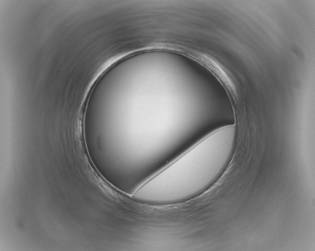 X0000116611292200912110953