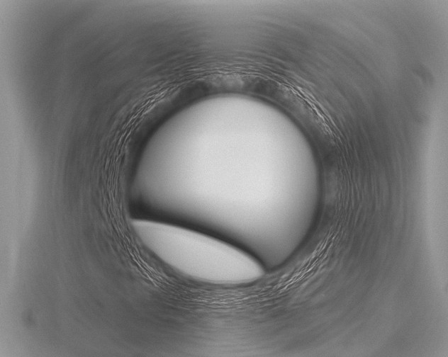 X0000116611297200912110952