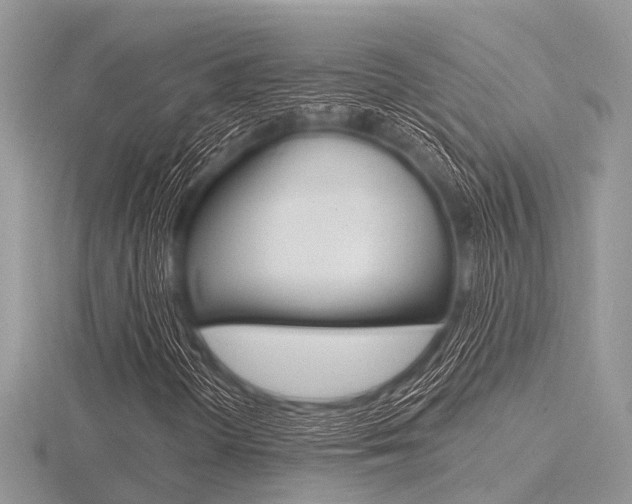 X0000116611298200912110952