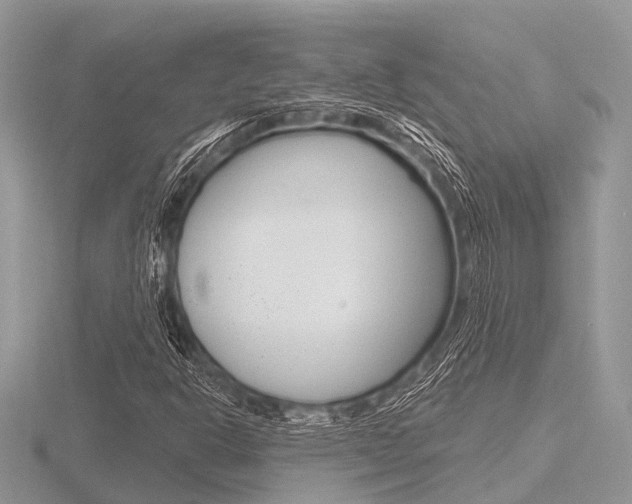 X0000116611302200912110952
