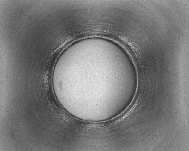 X0000116611305200912110952