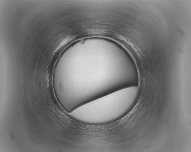 X0000116611306200912110952