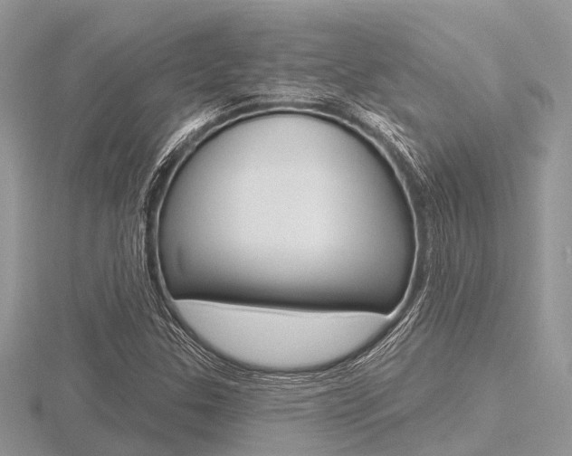 X0000116611307200912110952