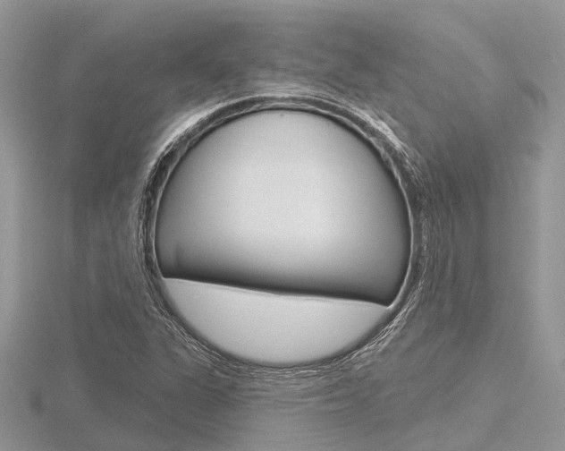 X0000116611311200912110952
