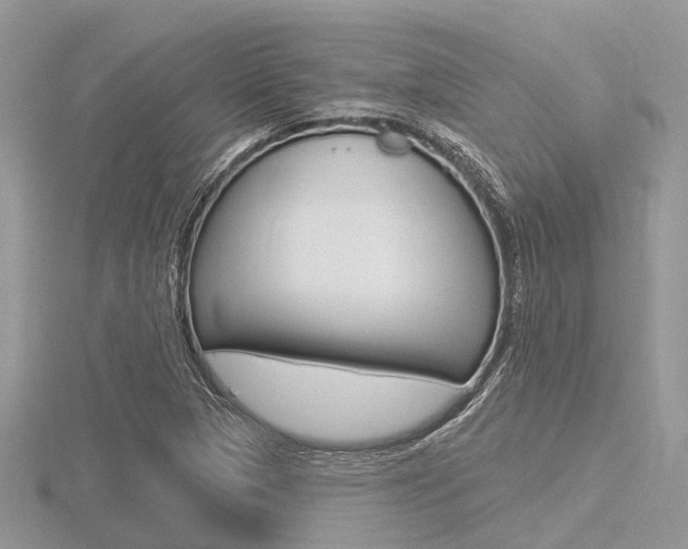 X0000116611313200912110952