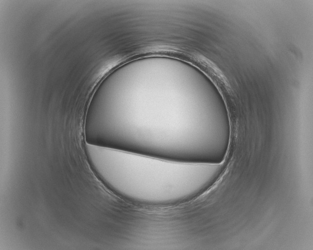 X0000116611321200912110952