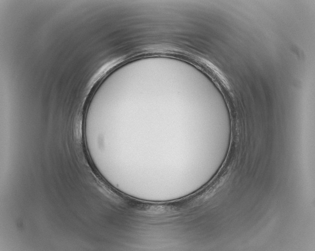 X0000116611322200912110952