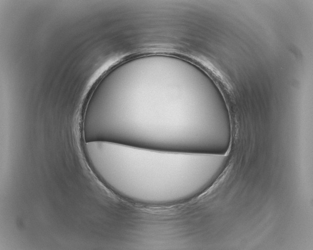 X0000116611325200912110952