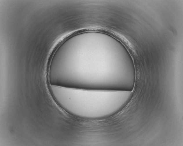 X0000116611327200912110952