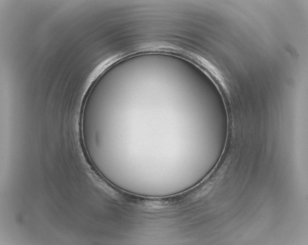 X0000116611330200912110952