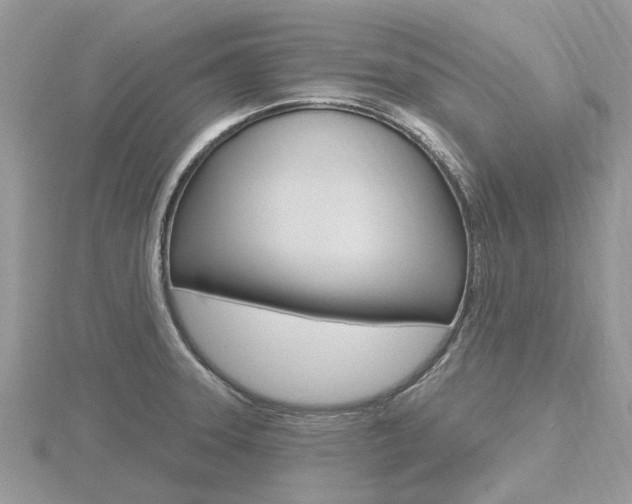 X0000116611331200912110952