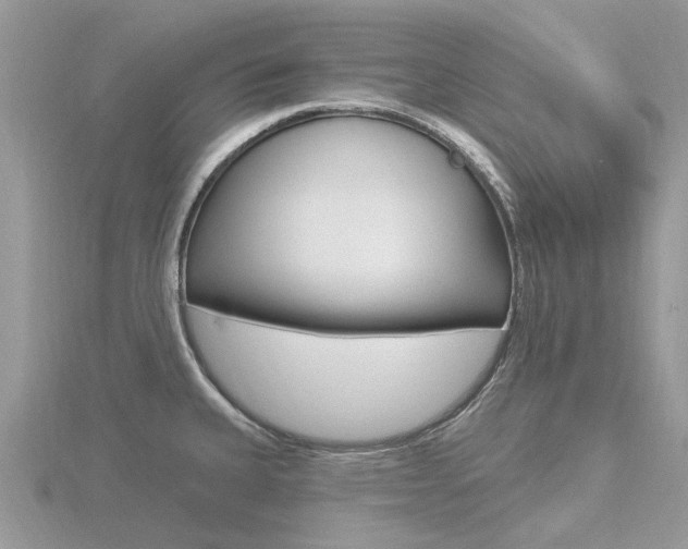 X0000116611335200912110953