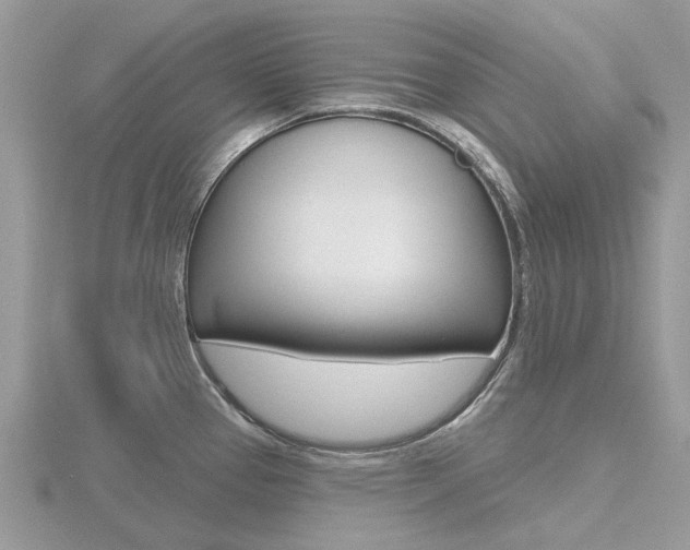 X0000116611337200912110953