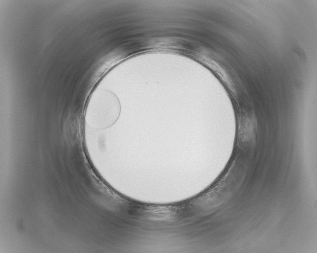 X0000116611338200912110953