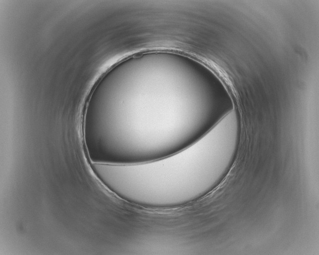 X0000116611342200912110953