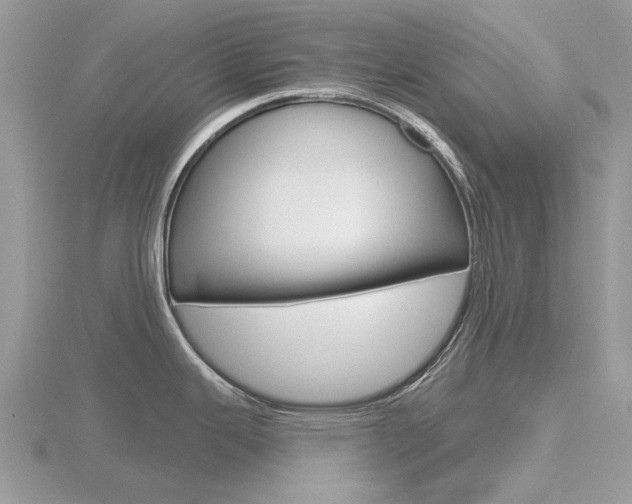 X0000116611343200912110953