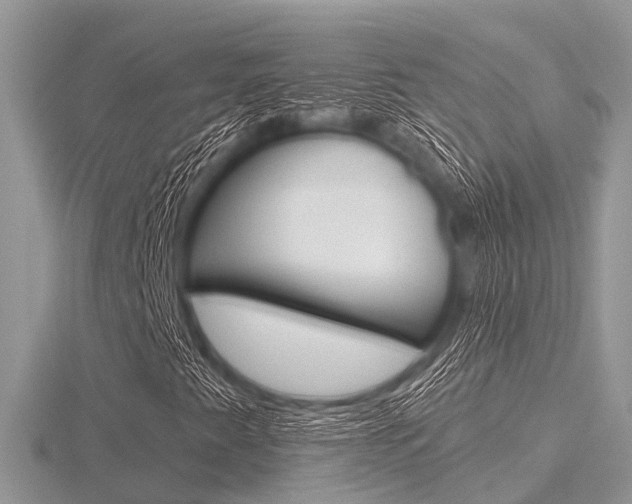 X0000116611345200912110952