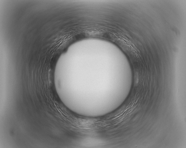 X0000116611346200912110952