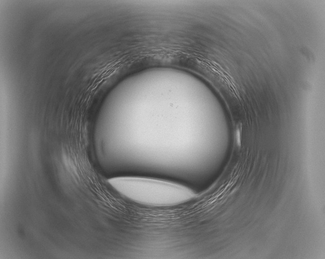 X0000116611347200912110952