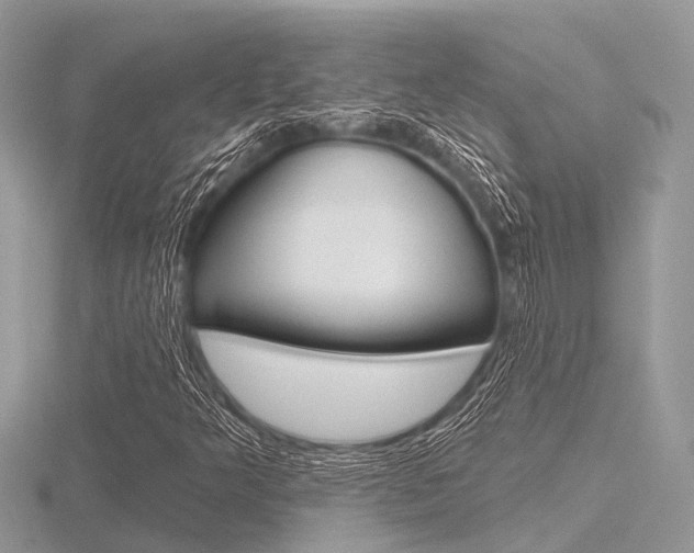 X0000116611349200912110952
