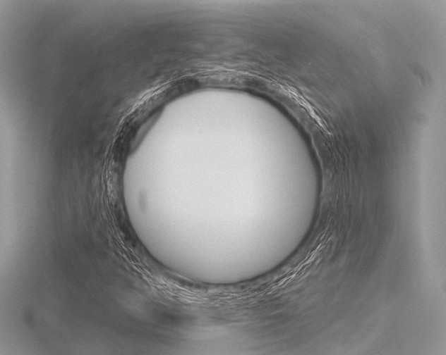 X0000116611350200912110952