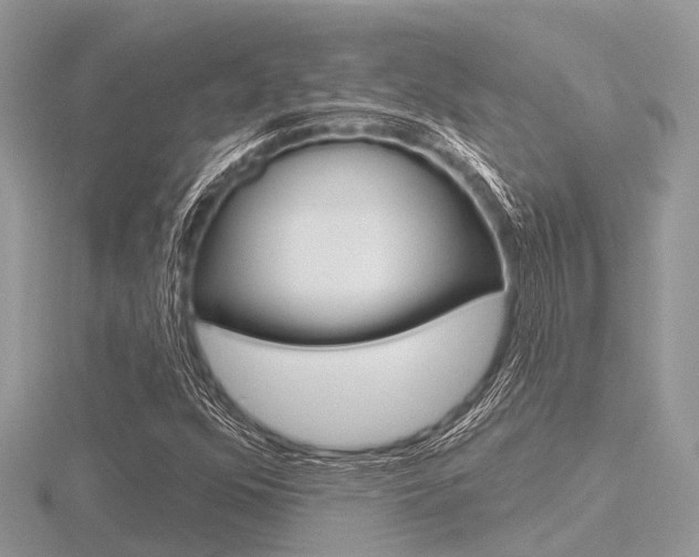 X0000116611352200912110952