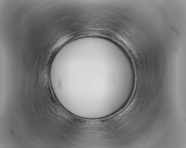 X0000116611354200912110952