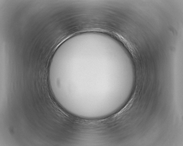 X0000116611361200912110952
