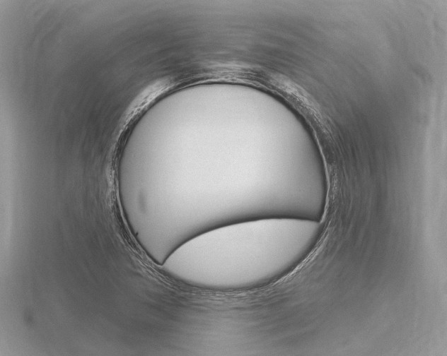 X0000116611362200912110952