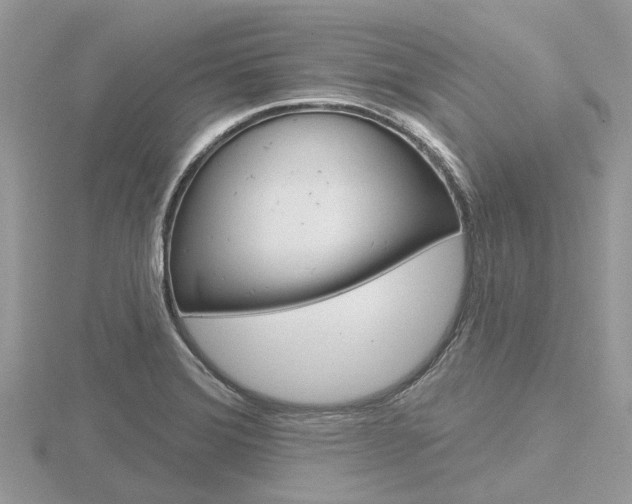 X0000116611372200912110952