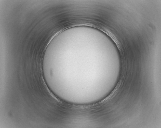 X0000116611377200912110952