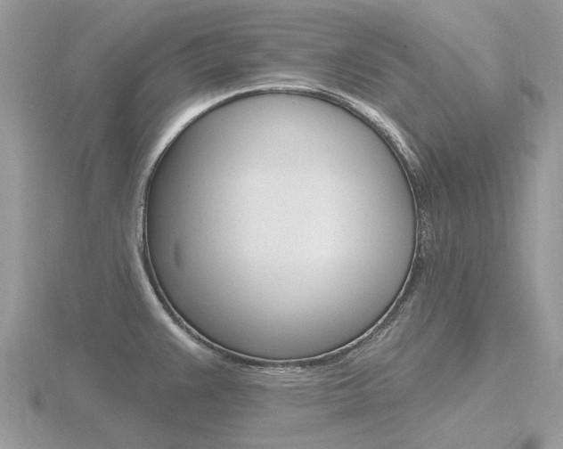 X0000116611383200912110952