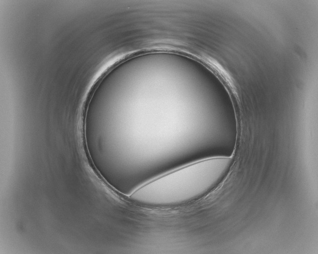 X0000116611384200912110952
