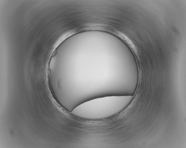 X0000116611386200912110952