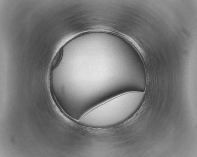 X0000116611387200912110952