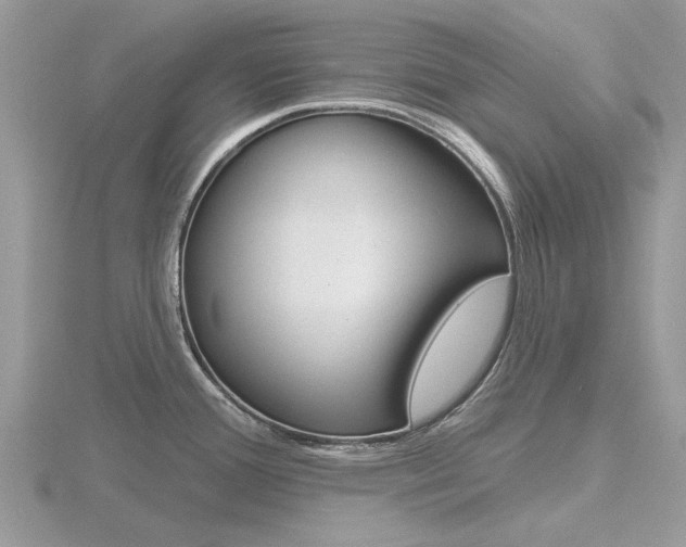 X0000116611388200912110951