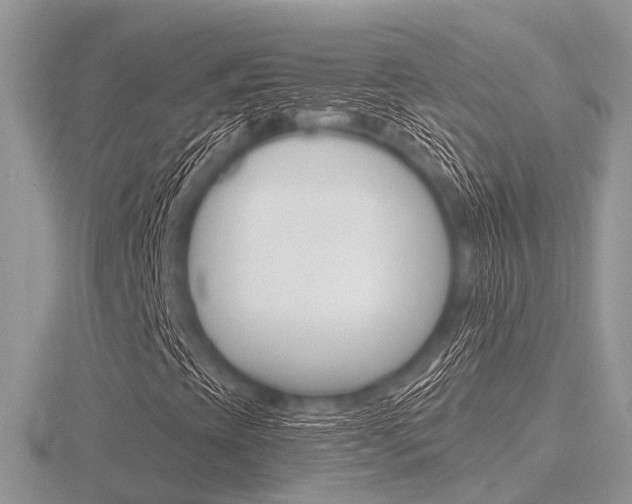 X0000116611393200912110951