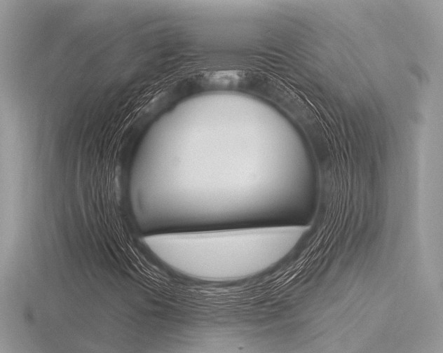 X0000116611394200912110951